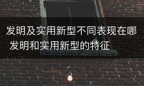发明及实用新型不同表现在哪 发明和实用新型的特征