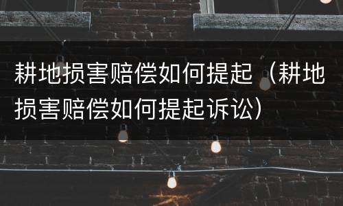 耕地损害赔偿如何提起（耕地损害赔偿如何提起诉讼）