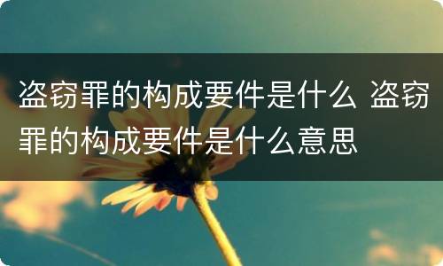 盗窃罪的构成要件是什么 盗窃罪的构成要件是什么意思