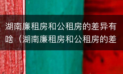 湖南廉租房和公租房的差异有啥（湖南廉租房和公租房的差异有啥影响）