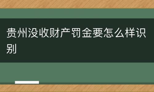 贵州没收财产罚金要怎么样识别