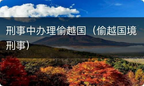 刑事中办理偷越国（偷越国境刑事）