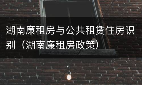 湖南廉租房与公共租赁住房识别（湖南廉租房政策）