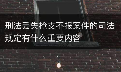 刑法丢失枪支不报案件的司法规定有什么重要内容