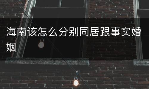 海南该怎么分别同居跟事实婚姻