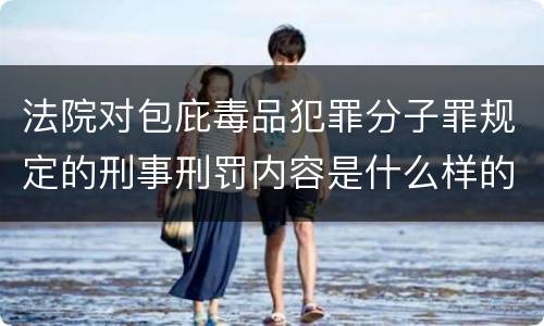 法院对包庇毒品犯罪分子罪规定的刑事刑罚内容是什么样的