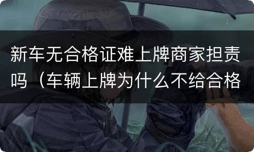 新车无合格证难上牌商家担责吗（车辆上牌为什么不给合格证）