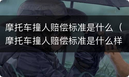 摩托车撞人赔偿标准是什么（摩托车撞人赔偿标准是什么样的）