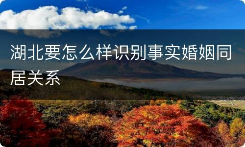 湖北要怎么样识别事实婚姻同居关系