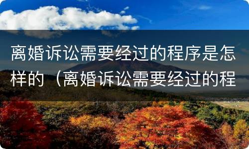 离婚诉讼需要经过的程序是怎样的（离婚诉讼需要经过的程序是怎样的法律）