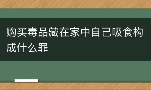 购买毒品藏在家中自己吸食构成什么罪