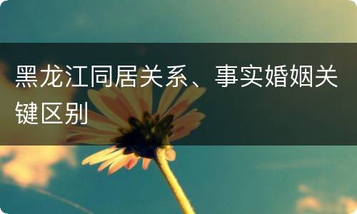 黑龙江同居关系、事实婚姻关键区别