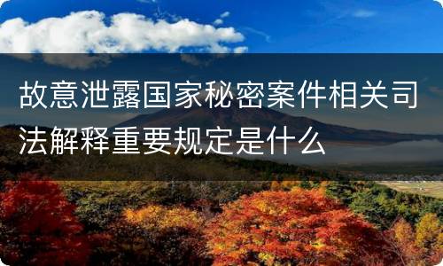 故意泄露国家秘密案件相关司法解释重要规定是什么