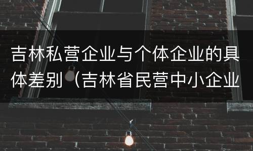 吉林私营企业与个体企业的具体差别（吉林省民营中小企业）
