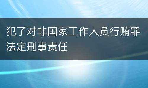 犯了对非国家工作人员行贿罪法定刑事责任