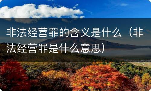 非法经营罪的含义是什么（非法经营罪是什么意思）