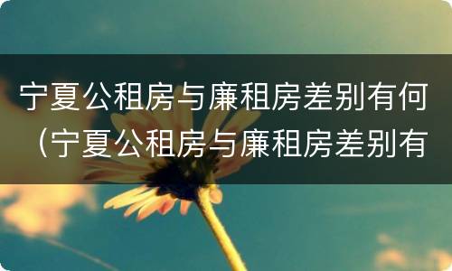 宁夏公租房与廉租房差别有何（宁夏公租房与廉租房差别有何影响）