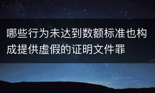 哪些行为未达到数额标准也构成提供虚假的证明文件罪