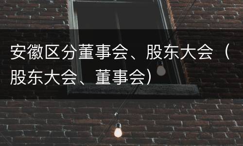 安徽区分董事会、股东大会（股东大会、董事会）