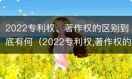 2022专利权、著作权的区别到底有何（2022专利权,著作权的区别到底有何不同）