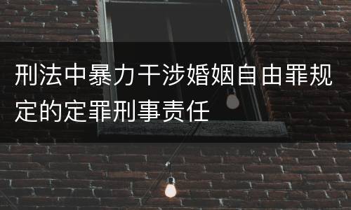 刑法中暴力干涉婚姻自由罪规定的定罪刑事责任