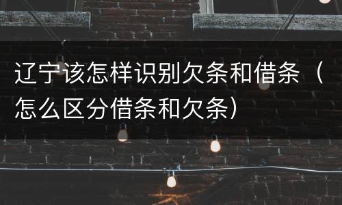 辽宁该怎样识别欠条和借条（怎么区分借条和欠条）