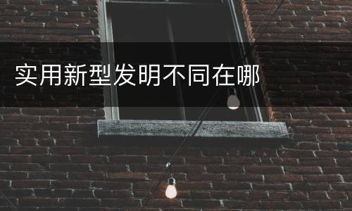 实用新型发明不同在哪