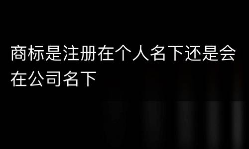 商标是注册在个人名下还是会在公司名下