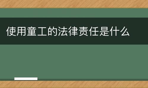 使用童工的法律责任是什么