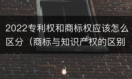 2022专利权和商标权应该怎么区分（商标与知识产权的区别）