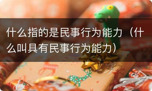 什么指的是民事行为能力（什么叫具有民事行为能力）