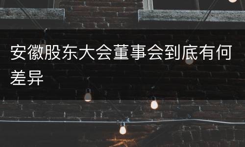 安徽股东大会董事会到底有何差异