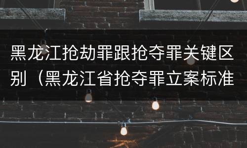 黑龙江抢劫罪跟抢夺罪关键区别（黑龙江省抢夺罪立案标准）