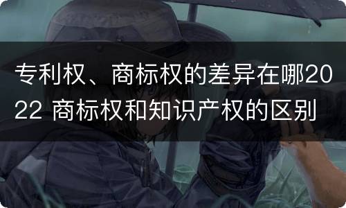 专利权、商标权的差异在哪2022 商标权和知识产权的区别