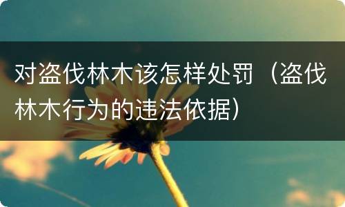 对盗伐林木该怎样处罚（盗伐林木行为的违法依据）