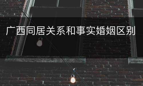 广西同居关系和事实婚姻区别