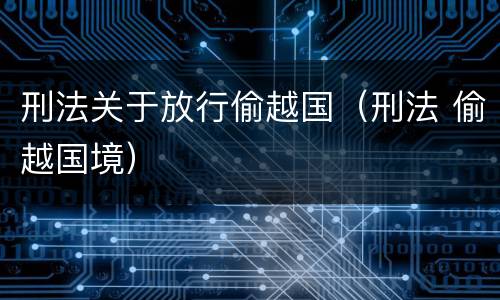 刑法关于放行偷越国（刑法 偷越国境）