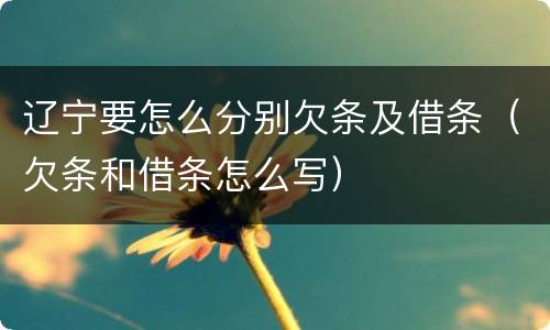 辽宁要怎么分别欠条及借条（欠条和借条怎么写）