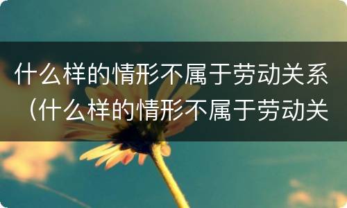 什么样的情形不属于劳动关系（什么样的情形不属于劳动关系行为）