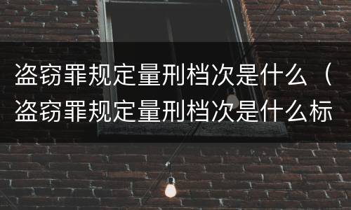 盗窃罪规定量刑档次是什么（盗窃罪规定量刑档次是什么标准）