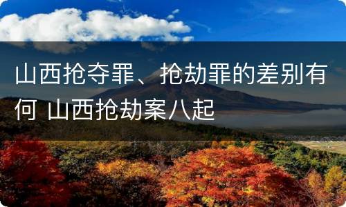 山西抢夺罪、抢劫罪的差别有何 山西抢劫案八起