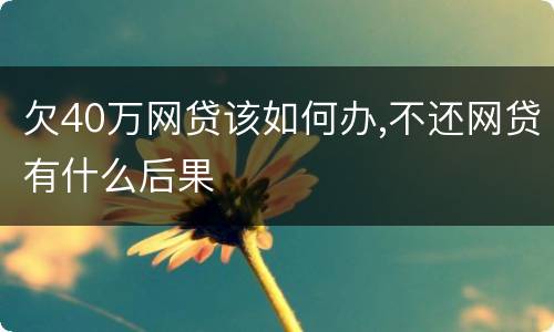 欠40万网贷该如何办,不还网贷有什么后果