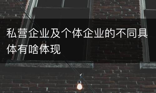 私营企业及个体企业的不同具体有啥体现