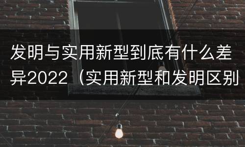 发明与实用新型到底有什么差异2022（实用新型和发明区别）