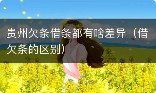 贵州欠条借条都有啥差异（借欠条的区别）