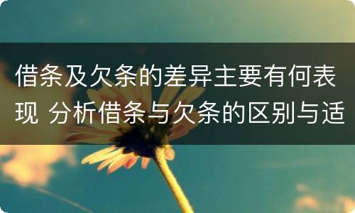 借条及欠条的差异主要有何表现 分析借条与欠条的区别与适用要点