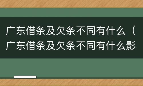 广东借条及欠条不同有什么（广东借条及欠条不同有什么影响）