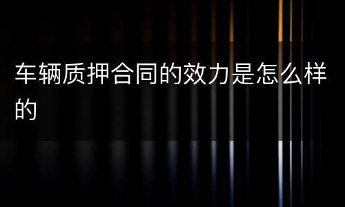车辆质押合同的效力是怎么样的