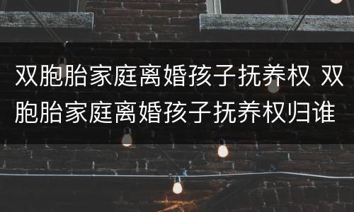双胞胎家庭离婚孩子抚养权 双胞胎家庭离婚孩子抚养权归谁
