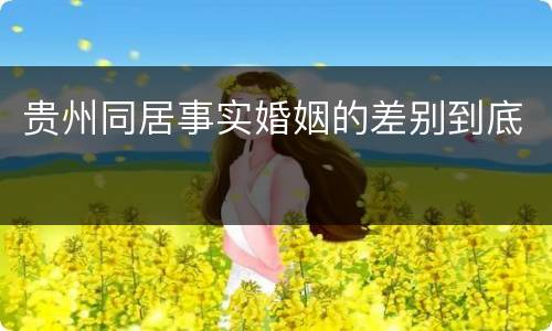 贵州同居事实婚姻的差别到底
